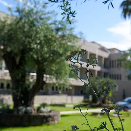 Iolida Corfu By Smile ホテル 4*